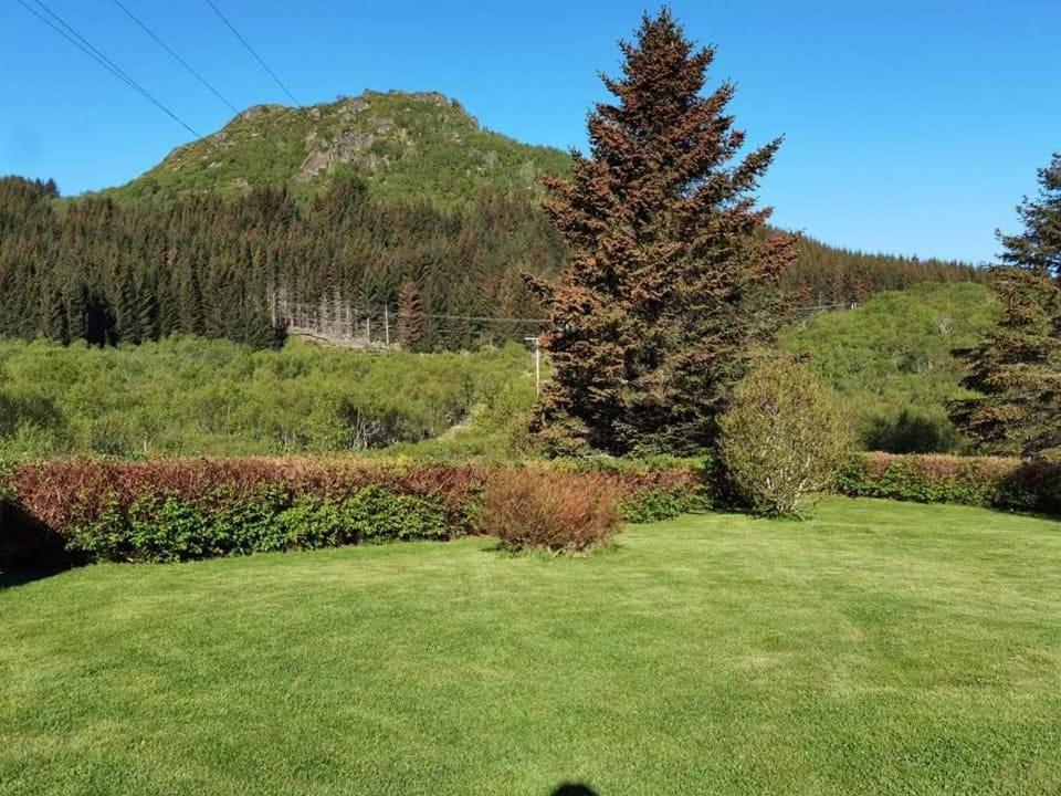 Banpim Hillside Lofoten With Jacusszi Gravdal  Zewnętrze zdjęcie