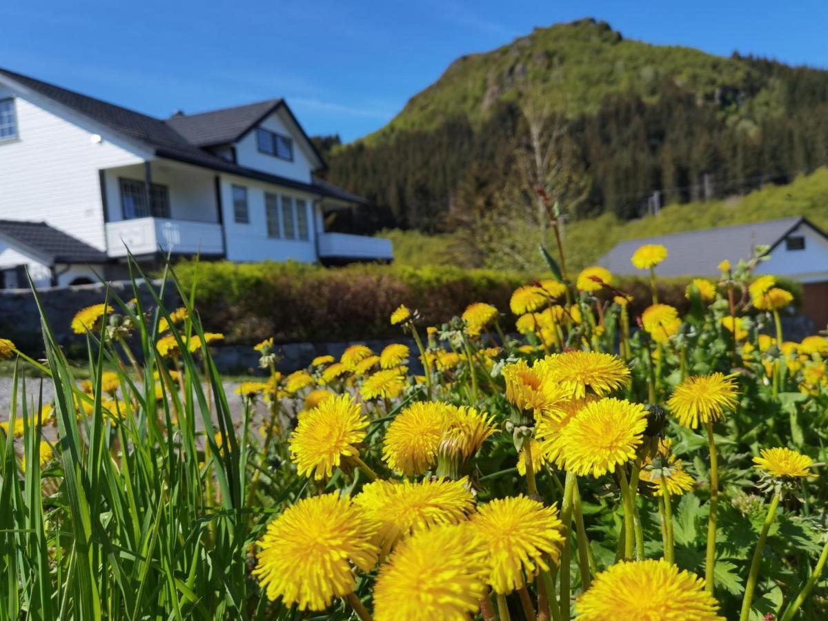 Banpim Hillside Lofoten With Jacusszi Gravdal  Zewnętrze zdjęcie