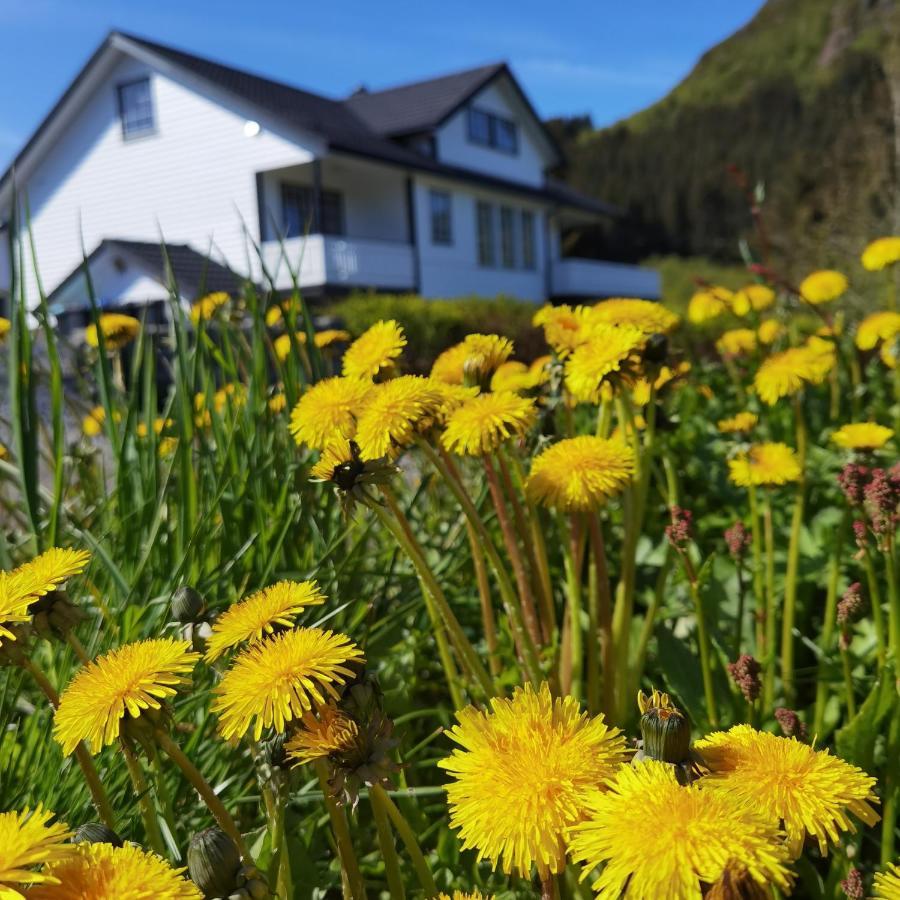 Banpim Hillside Lofoten With Jacusszi Gravdal  Zewnętrze zdjęcie